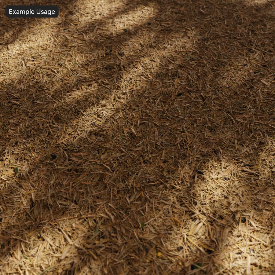 Textura de hojas de bambú caídas en el suelo