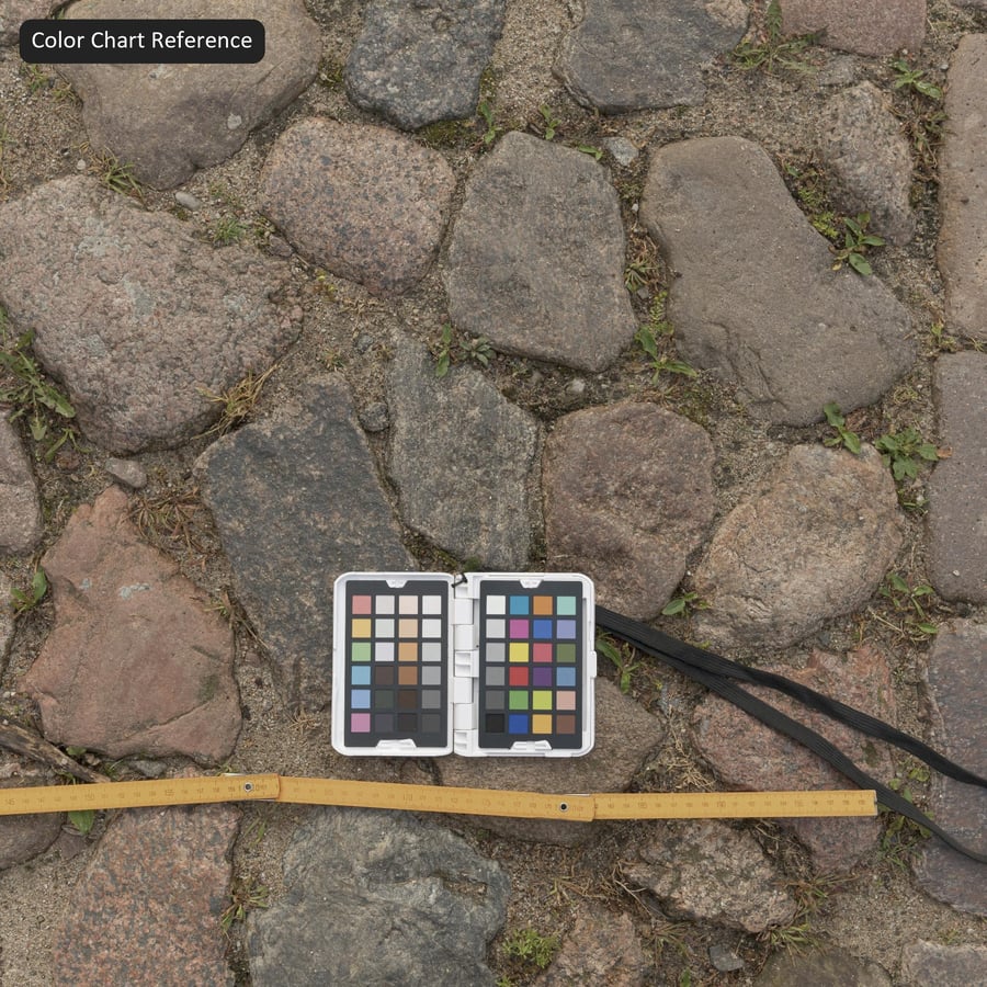 Weeds on Old Cobblestone Texture