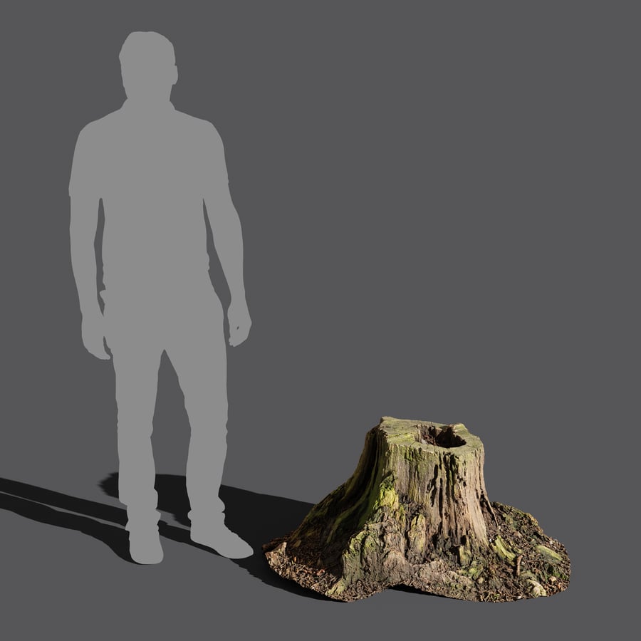 Short Cut Decaying Hollow Stump Model