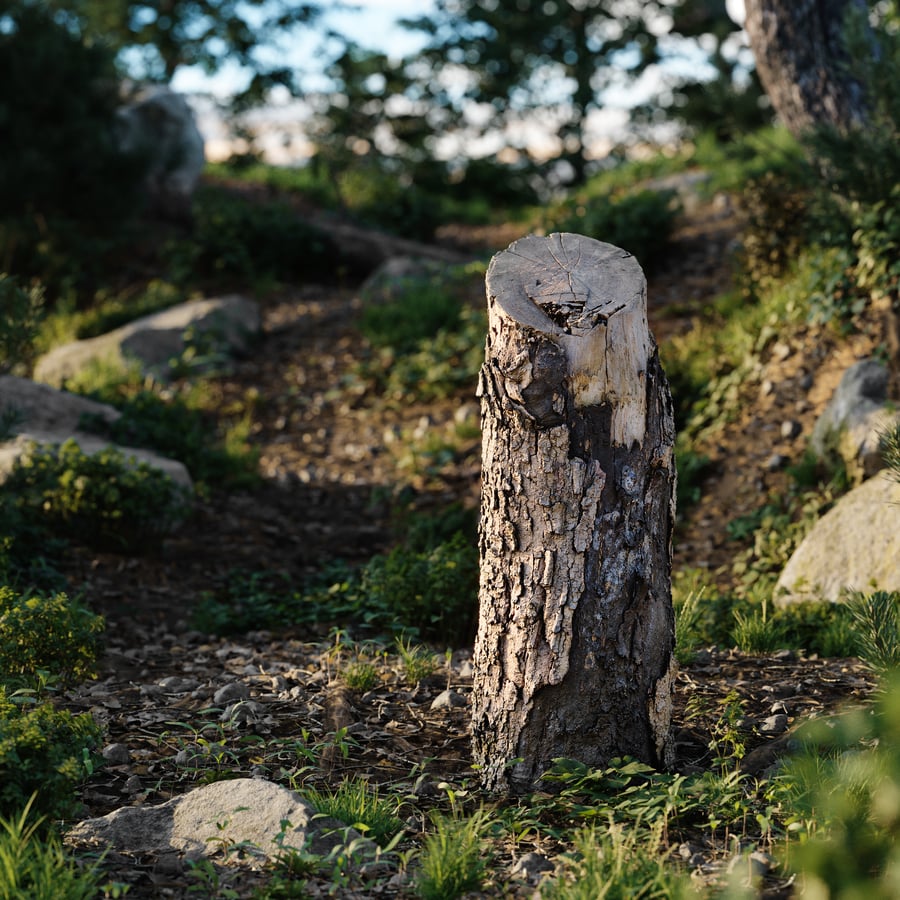 Medium Cut Flaking Stump Model