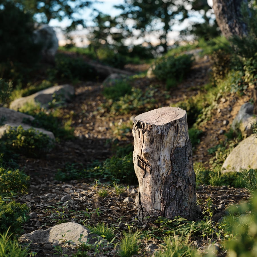 Medium Cut Semi-Bare Stump Model