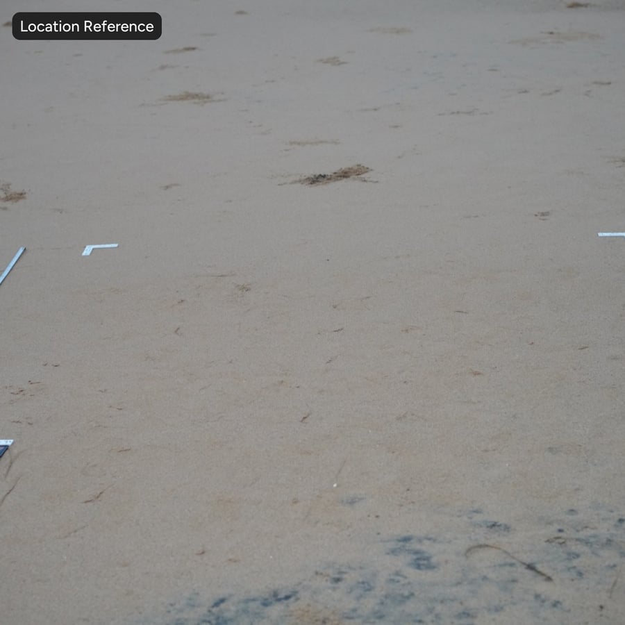 Textura de areia húmida e soprada pelo vento