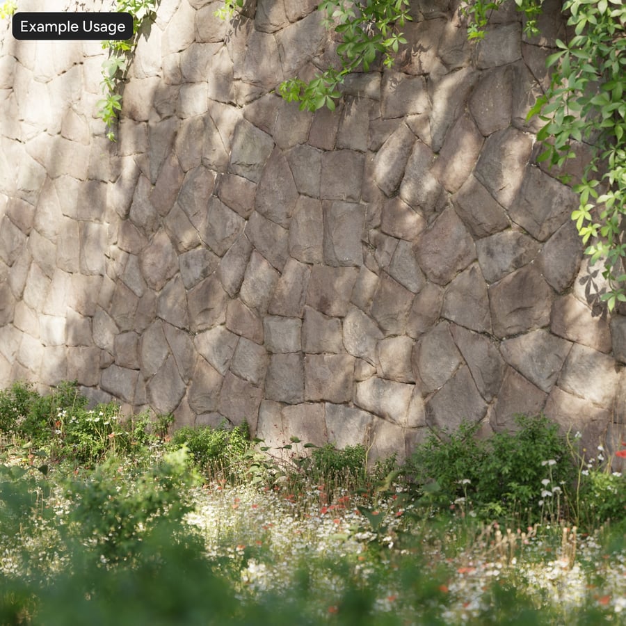 Τεχνική με τραχύ πέτρωμα