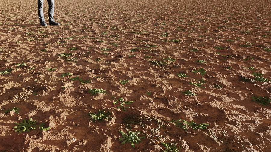Ervas daninhas irregulares em textura de terra