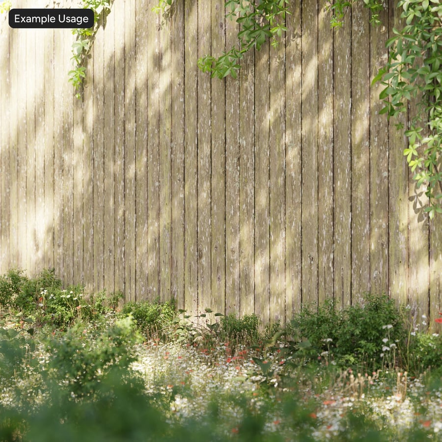 Textura de parede de tábua de madeira musgosa