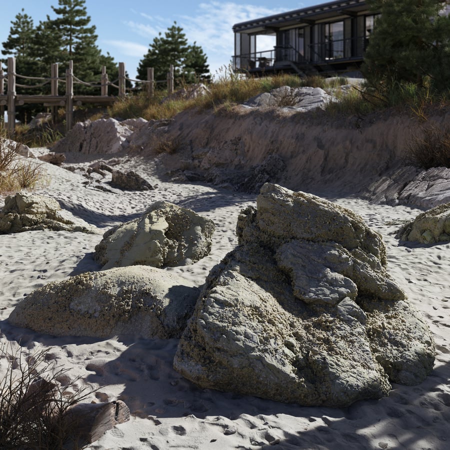 Lichen Covered Beach Rock Cluster Model
