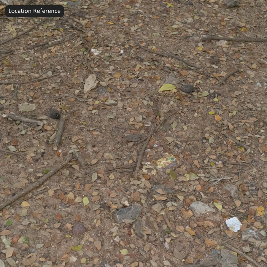 Bosbodem met puinstructuur