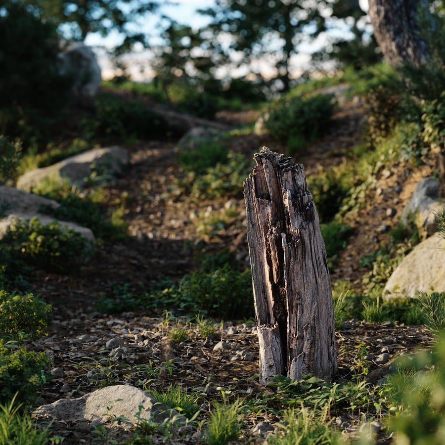 Tall Broken Splintered Stump Model