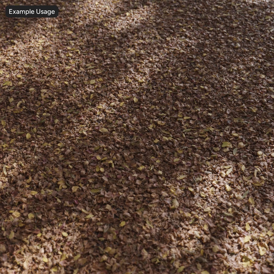 秋天森林樹葉在地面上的紋理