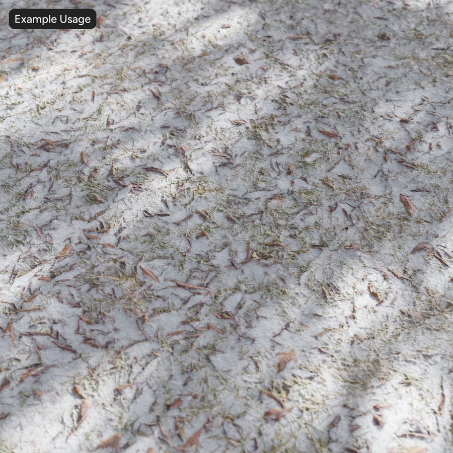 Folhas espalhadas e textura de neve