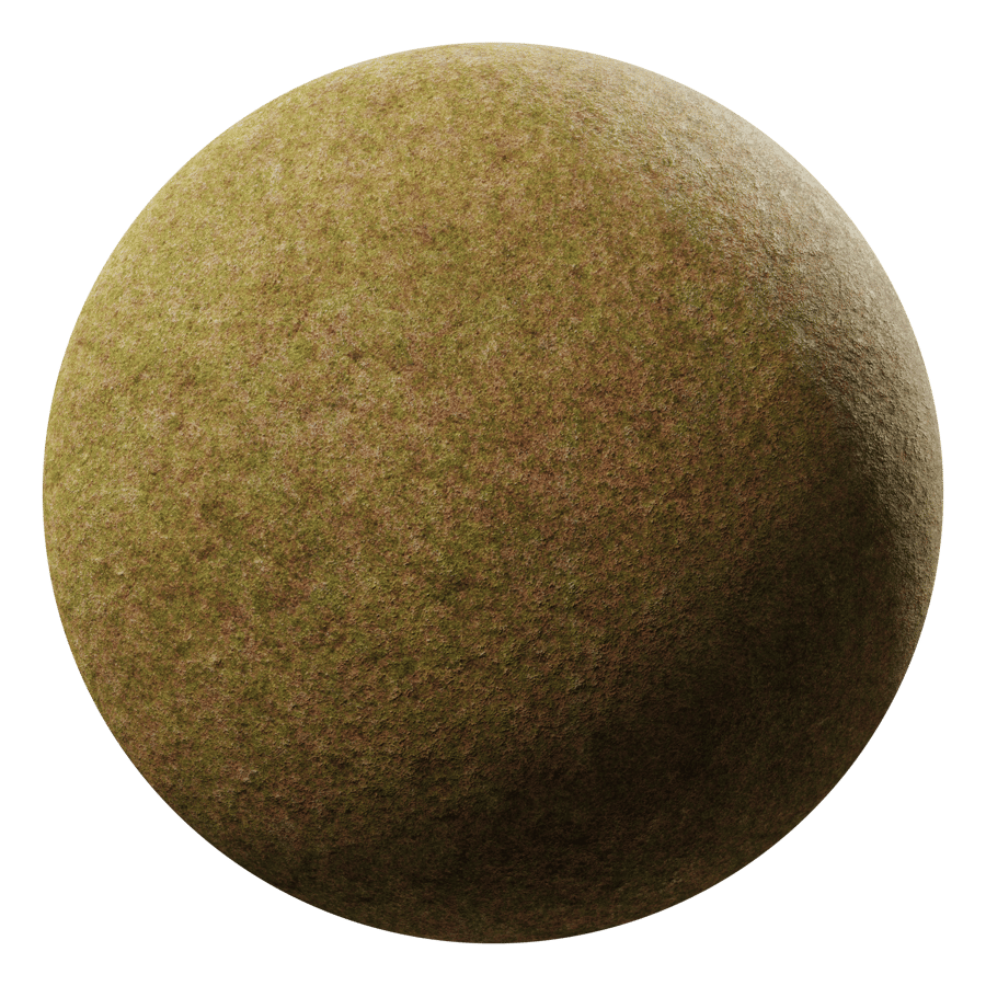 Grass Field Ground Texture, Patchy Brown
