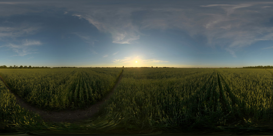 Warm Mostly Clear Sunset Field Outdoor Sky HDRI