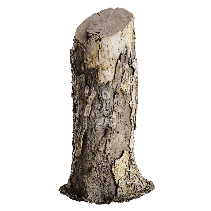 Medium Cut Flaking Stump Model