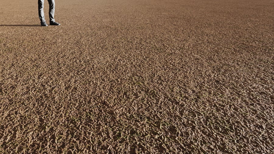 Moss & Dried Grass Ground Texture