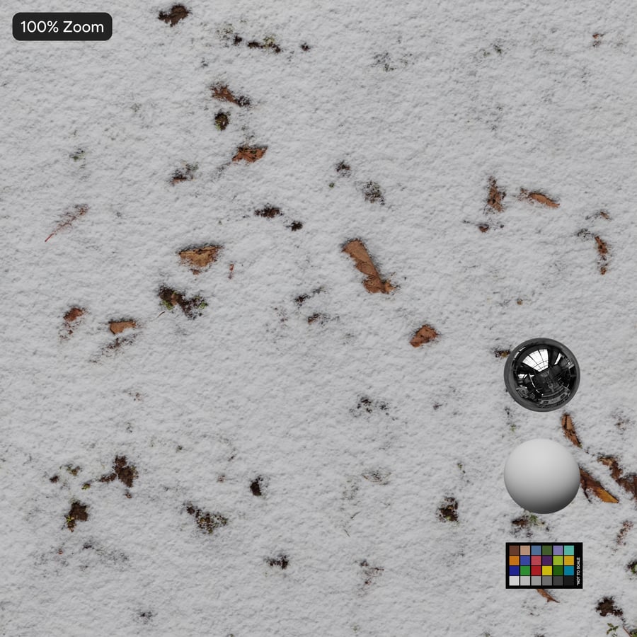 Scattered Leaves on Snow Texture