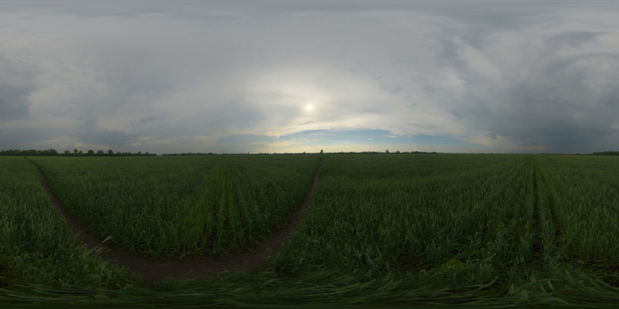 Hazy Overcast Afternoon Field Outdoor Sky HDRI