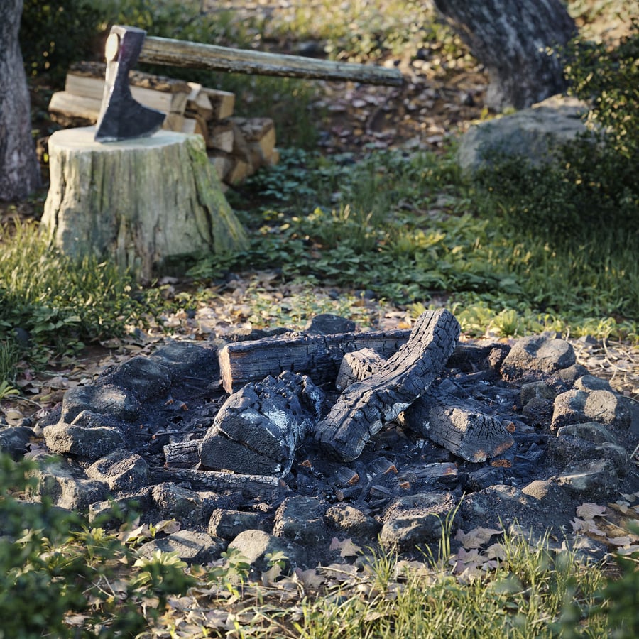 Fully Burned Bulky Split Firewood Models Collection