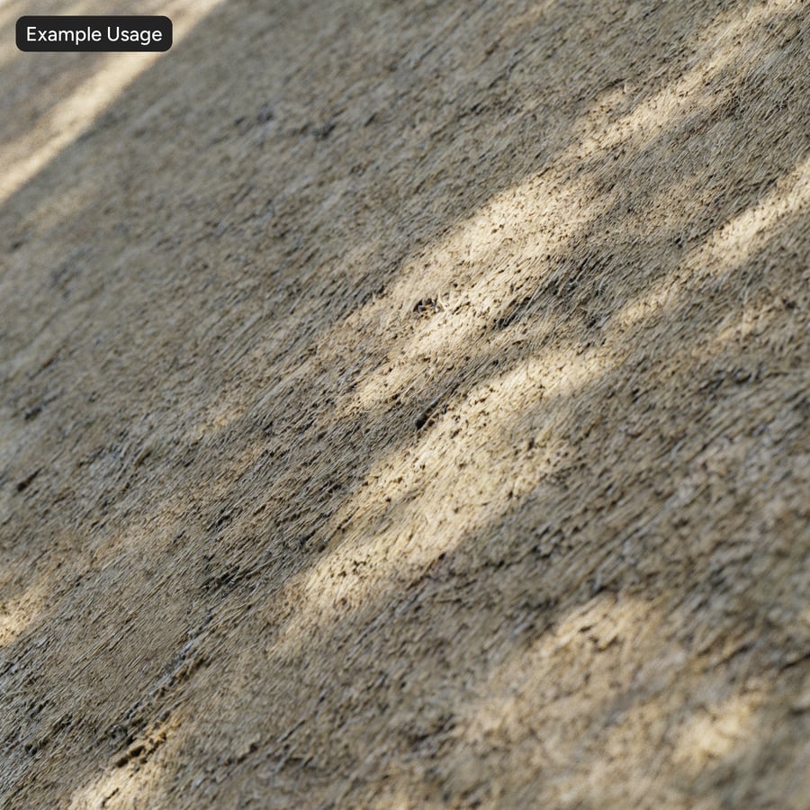 Texture de toit de chaume en roseau de Norfolk