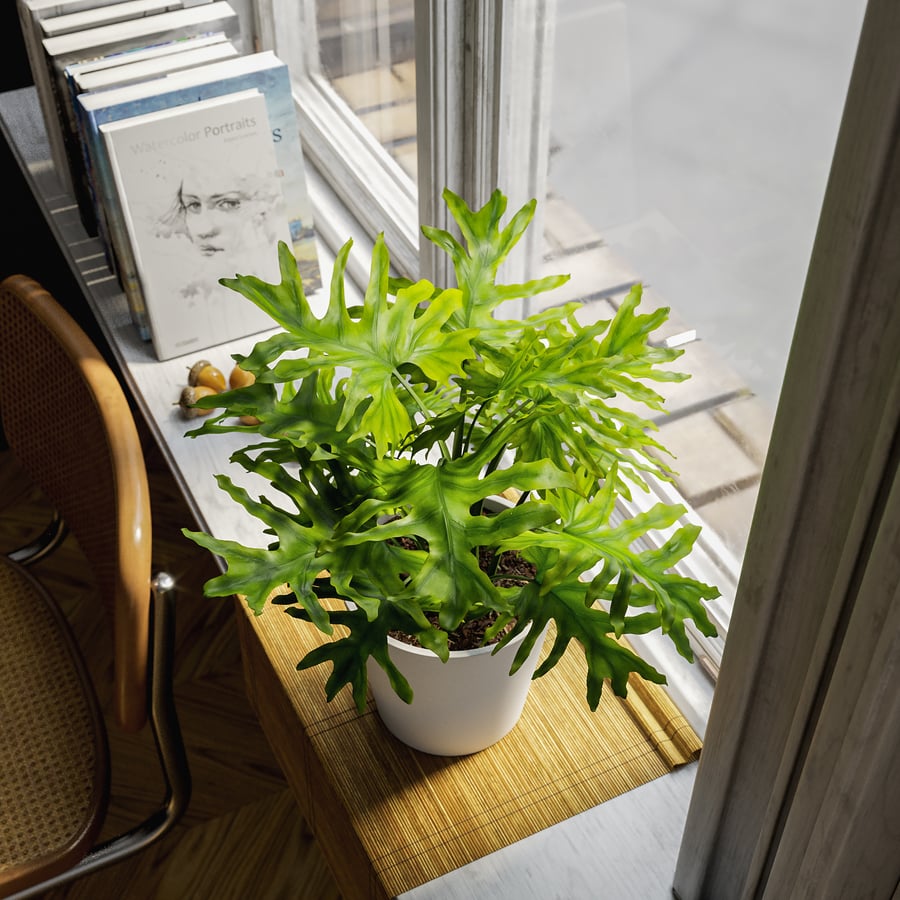Planta Filodendro Planta em vaso Modelo