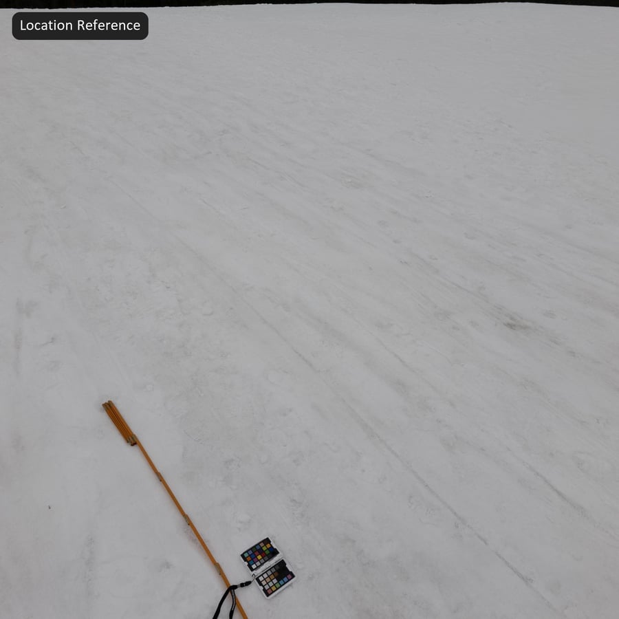 Tire Marks and Footprints on Snow Texture