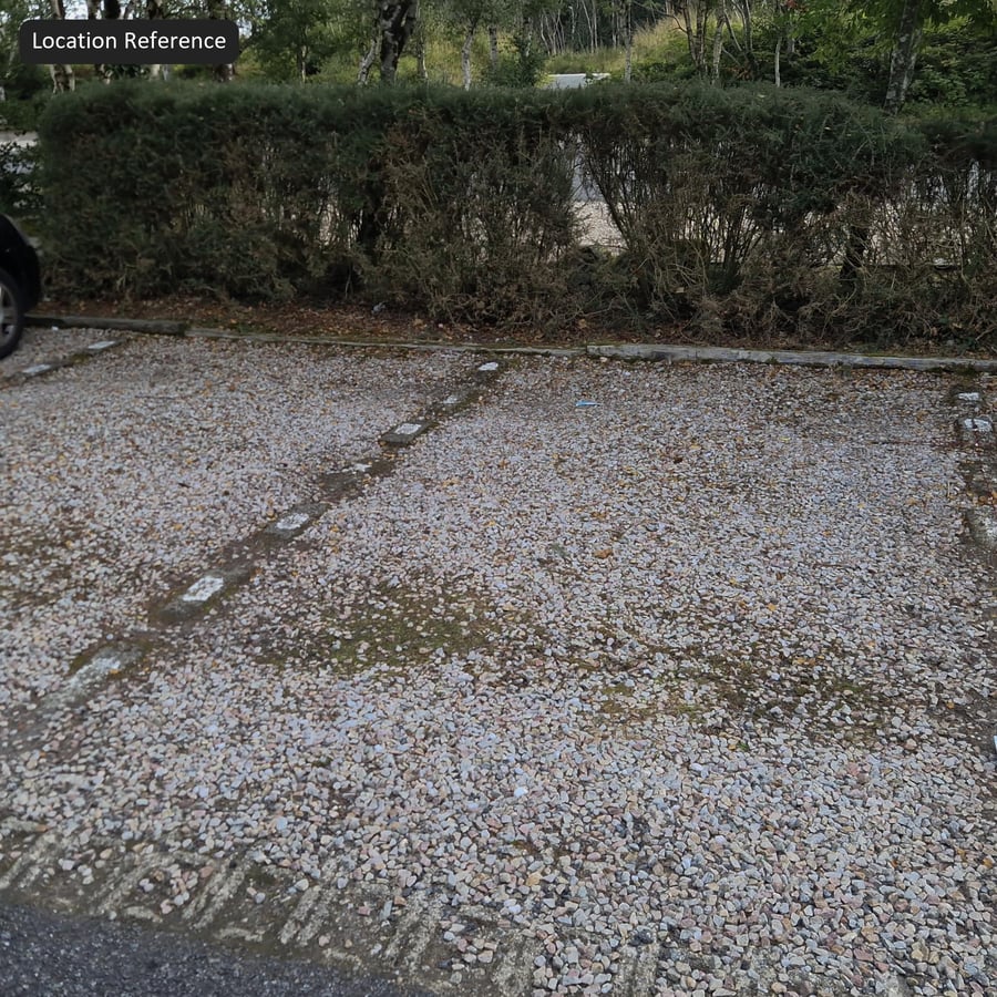 Mixed Patchy Leaves on Gravel Texture