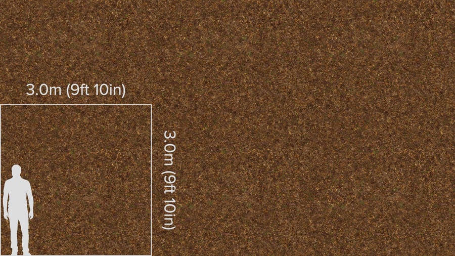 Ervas daninhas e detritos Textura florestal