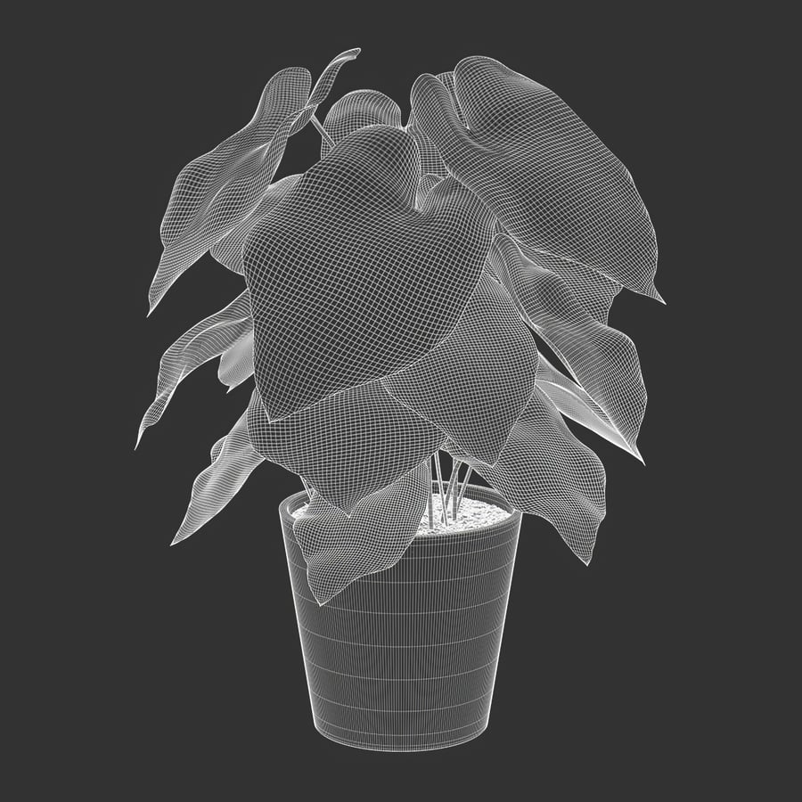 Modelo de planta em vaso Caladium, verde pálido