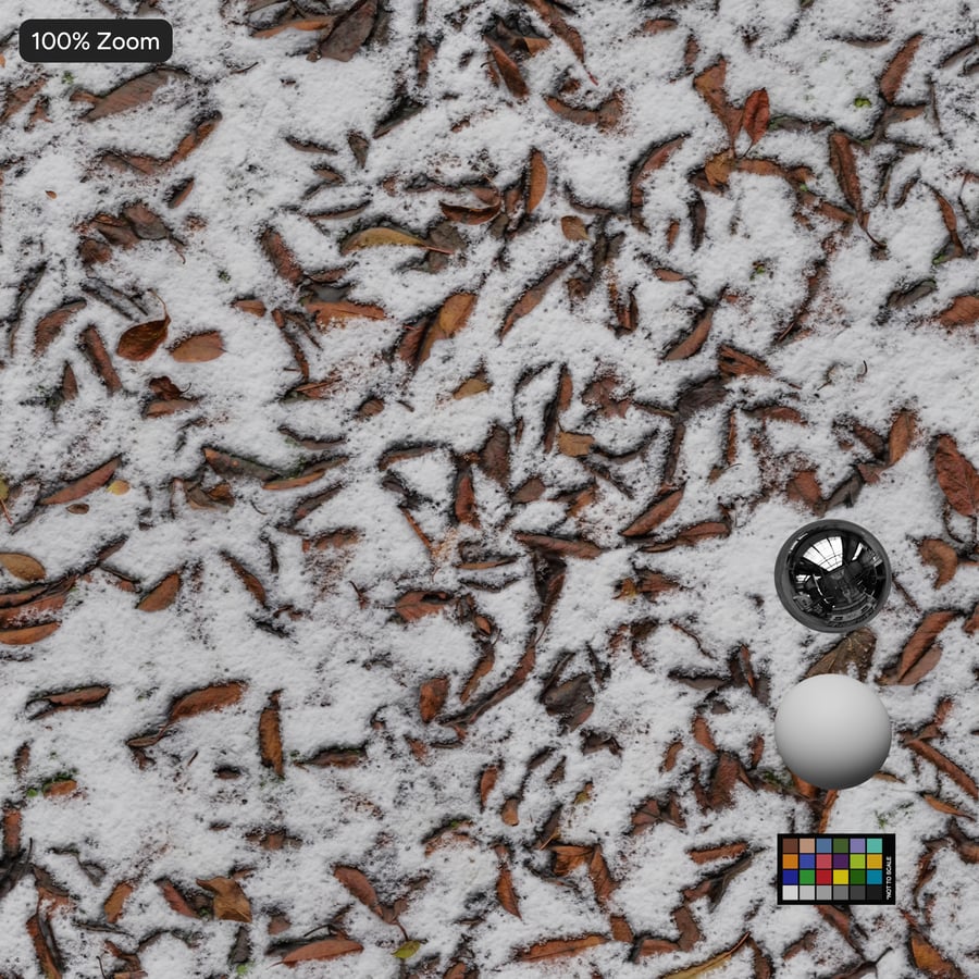 Leaves on Snow Texture