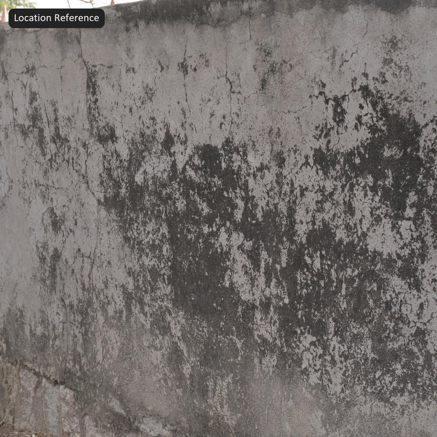 Textura de parede de concreto coberta de líquen