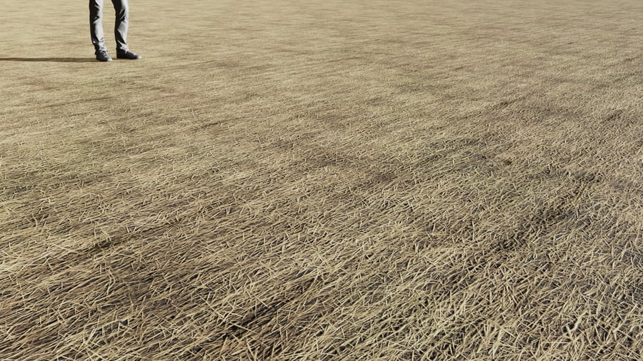 Old Rolled Straw Ground Texture