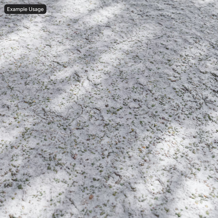 Textura de neve na relva