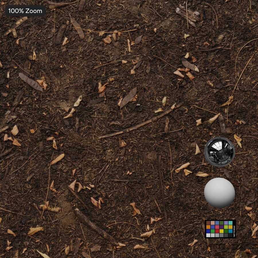 Seeds on Dirt Texture