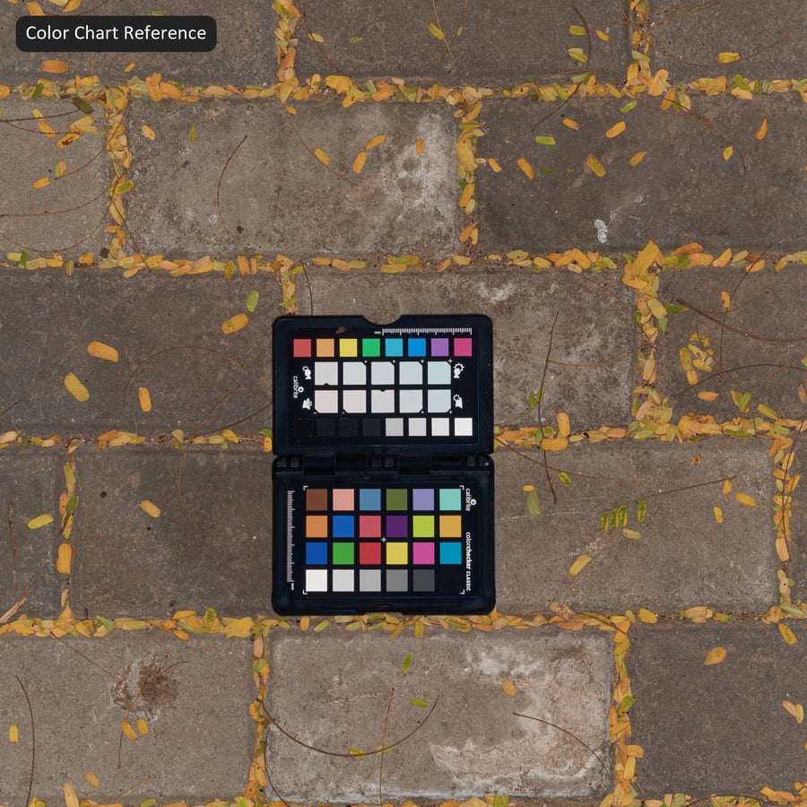Fallen Leaves on Running Bond Stone Paver Texture