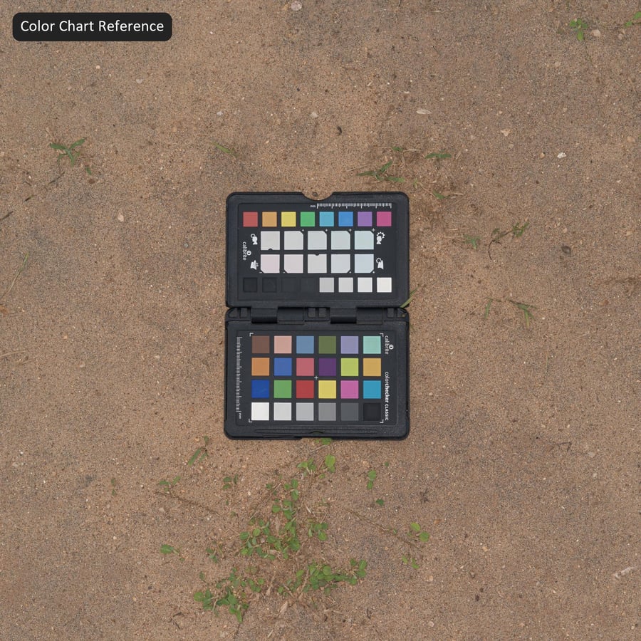 Texture d'herbe parsemée sur sol en terre battue