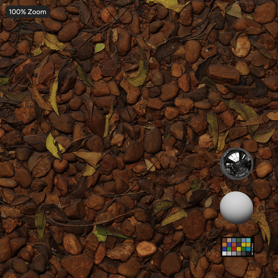 Herfstbladeren op rotsachtige kiezelgrondtextuur