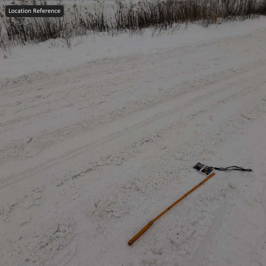 厚雪紋理上的輪胎印記