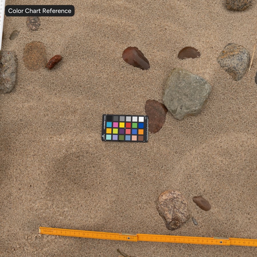 Stones and Footprints Sand Texture