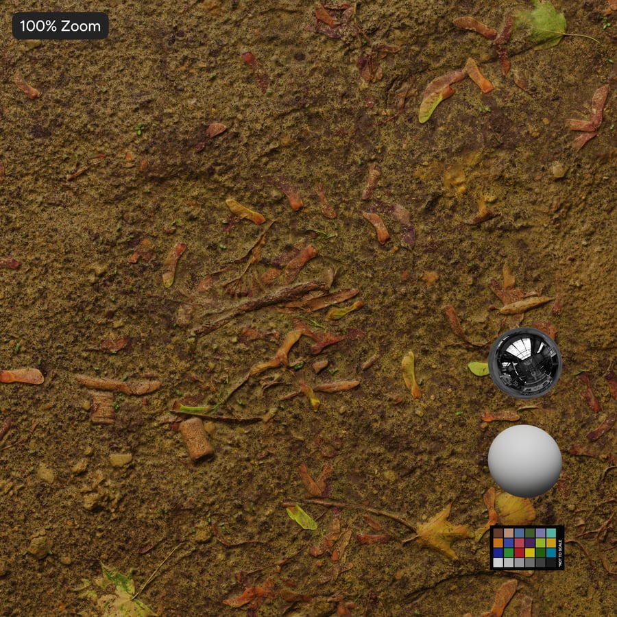 Mulch on Dirt Texture