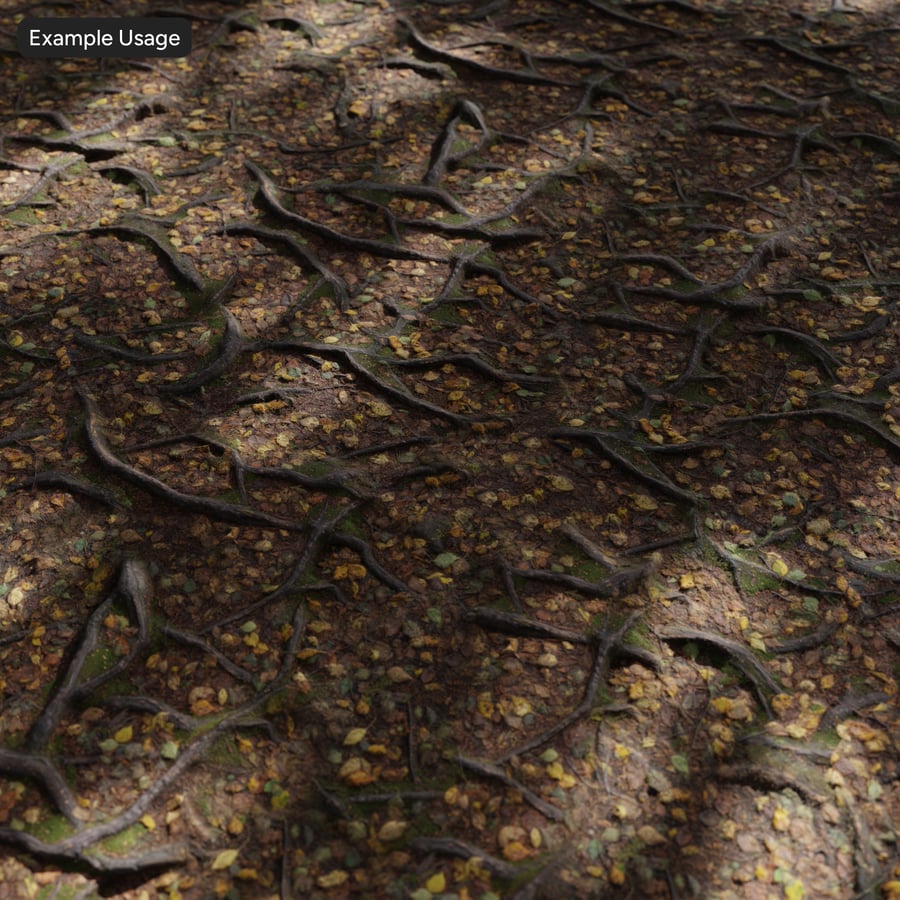 Tree Roots and Leaves Forest Texture