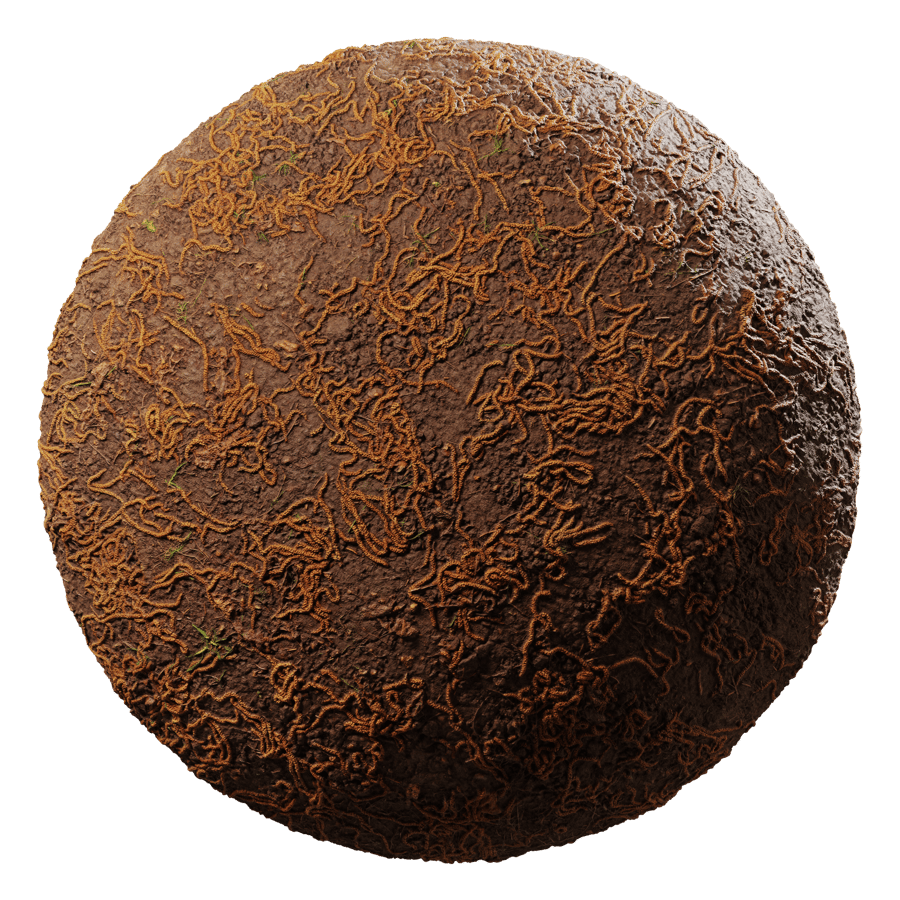 Forest Seeds & Dirt Ground Texture