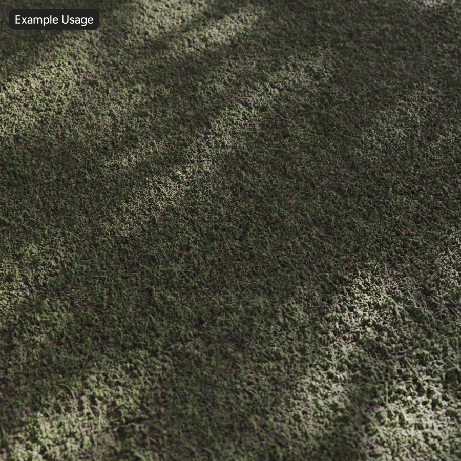 Textura de floresta exuberante