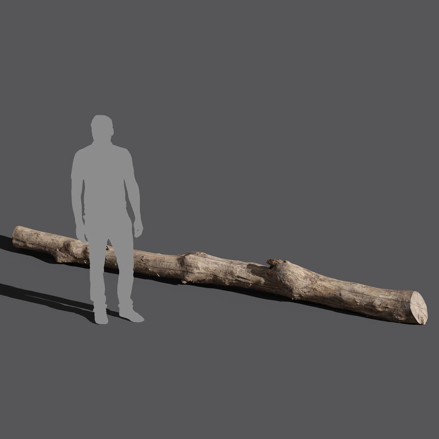 Long Bare Cut Log Model