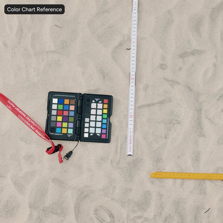 Texture des empreintes de pas sur le sable blanc de la plage