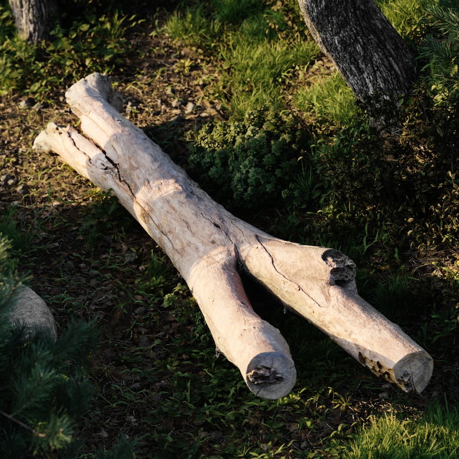 Large Branched Bare Log Model