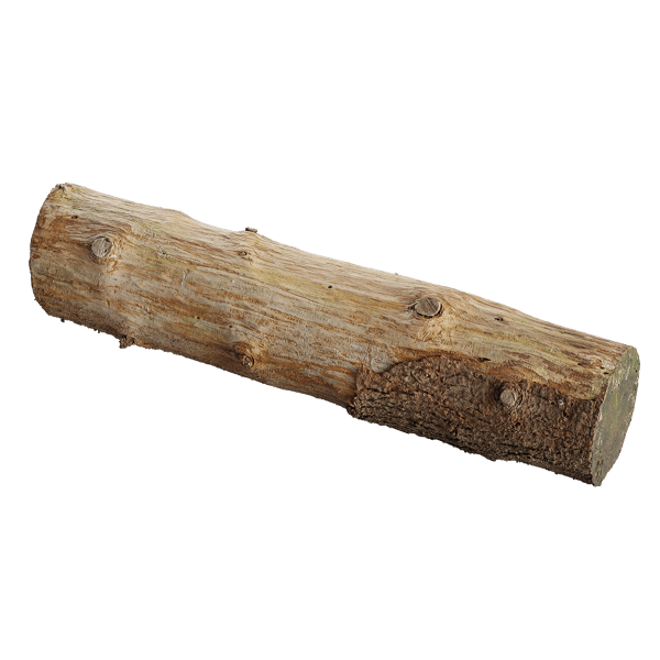 Small Cut Bare Log Model