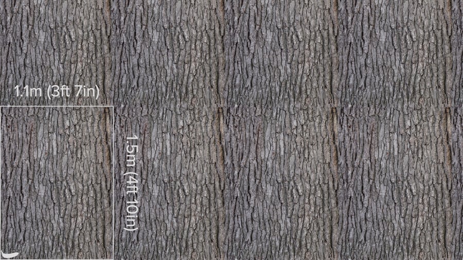 Bark Brown 012