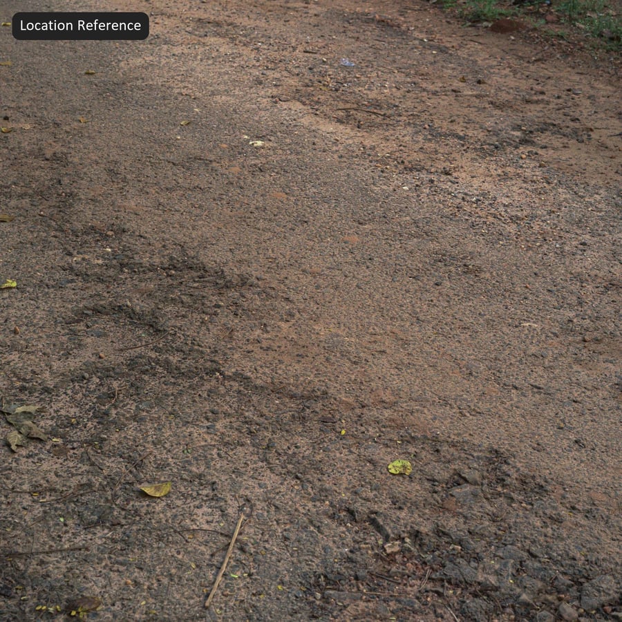 Eroded Coarse Aggregate Asphalt Texture
