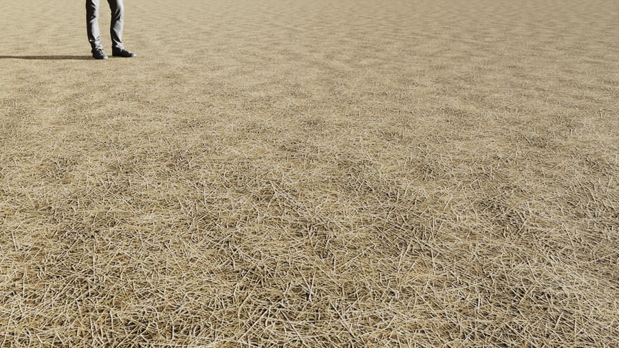 Fresh Straw Floor Texture