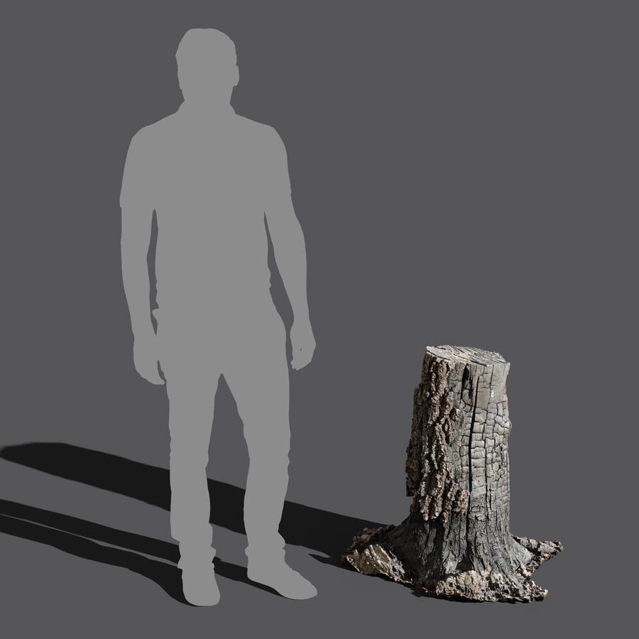 Tall Burned Cut Deciduous Stump Model