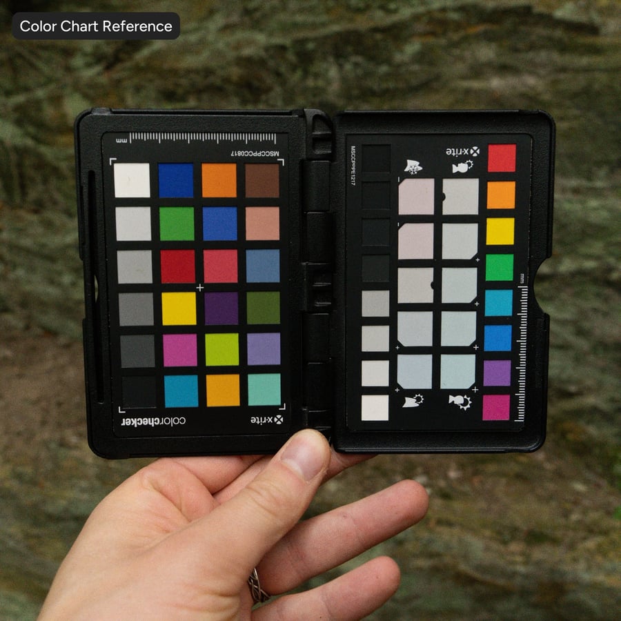 Texture de falaise rocheuse dans une forêt moussue